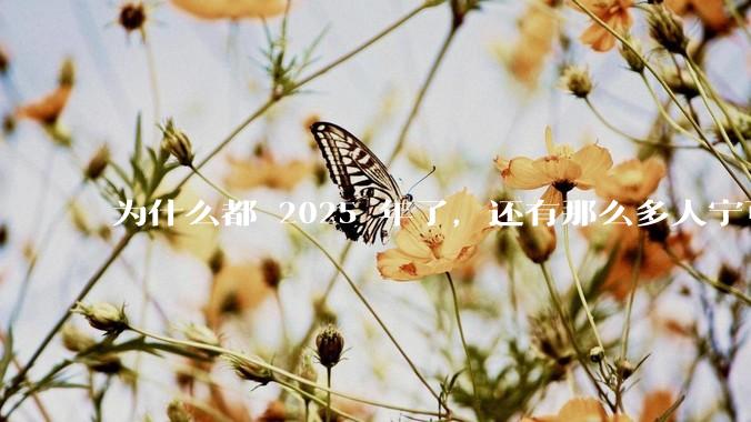 为什么都 2025 年了,还有那么多人宁可双持,也不愿意放弃安卓或非安卓手机?