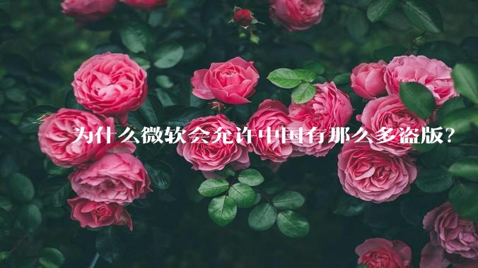 为什么微软会允许中国有那么多盗版?
