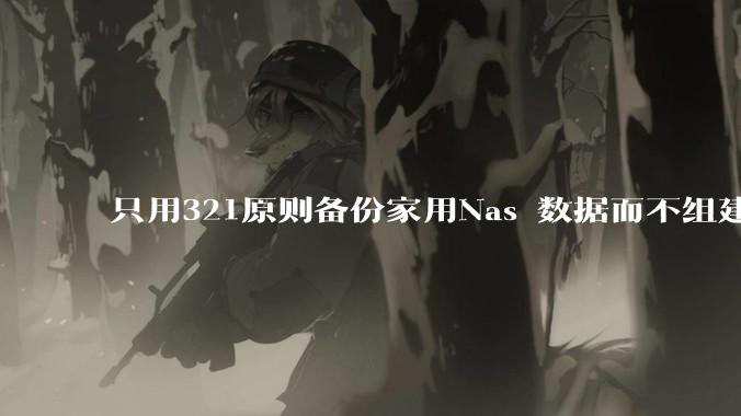 只用321原则备份家用Nas 数据而不组建raid阵列的人,不怕哪天备份全部同时损坏导致无法恢复吗?