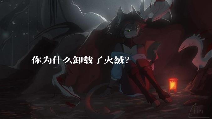 你为什么卸载了火绒?