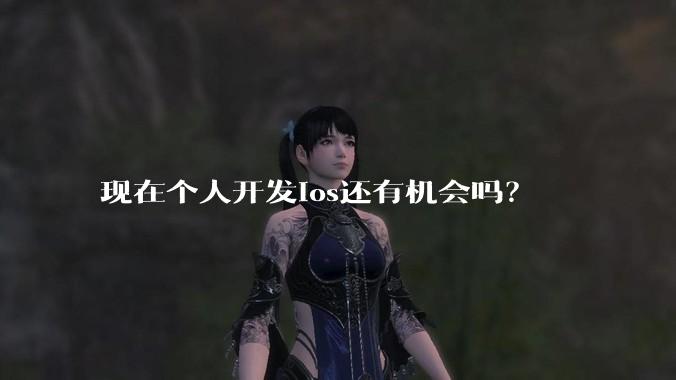 现在个人开发ios还有机会吗?