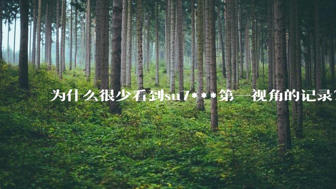 为什么很少看到su7***第一视角的记录?