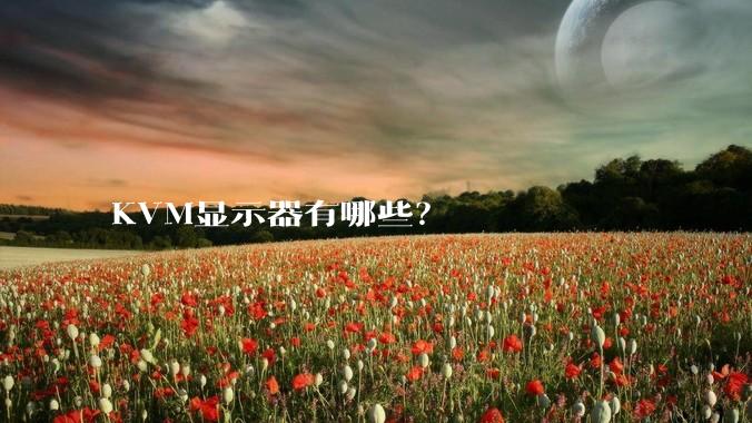 KVM显示器有哪些?