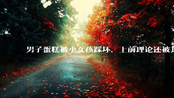 男子蛋糕被小女孩踩坏,上前理论还被其家长辱骂殴打,如果发生这种事情有比***里当事人更好的处理方法吗?
