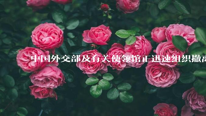 中国外交部及有关使领馆正迅速组织撤离在以、伊的中国公民,目前当地情况如何?