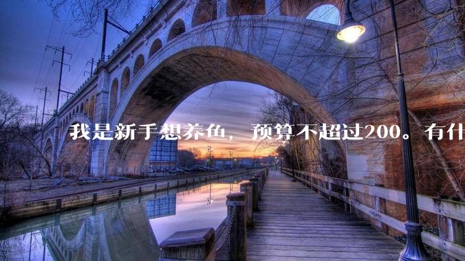 我是新手想养鱼,预算不超过200。有什么好的建议或者禁忌吗。?