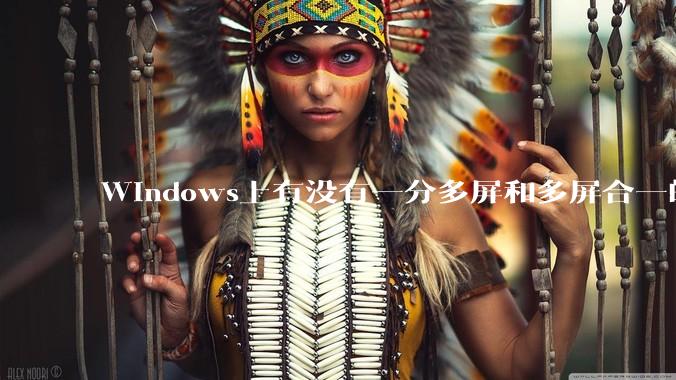 Windows上有没有一分多屏和多屏合一的软件?