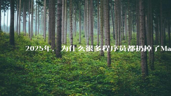 2025年,为什么很多程序员都扔掉了Mac和Linux,开始拥抱Win11了?