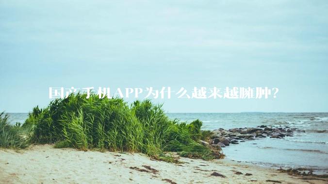 国产手机APP为什么越来越臃肿?