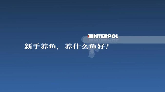 新手养鱼,养什么鱼好?