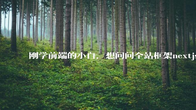 刚学前端的小白,想问问全站框架nextjs+shadcn+prisma为什么在国内不火呢?