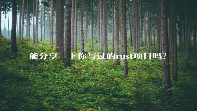 能分享一下你写过的rust项目吗?