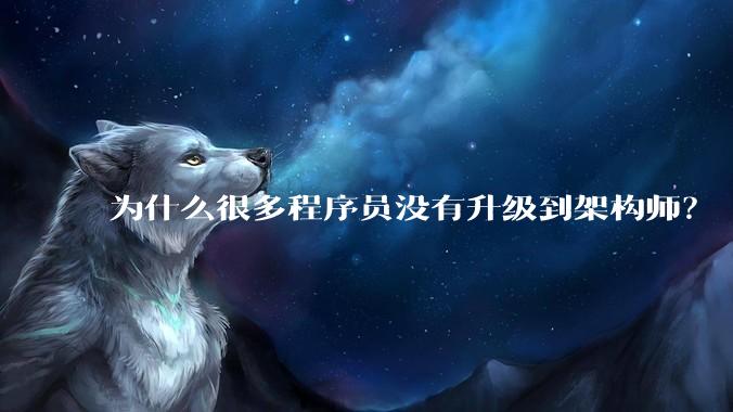 为什么很多程序员没有升级到架构师?