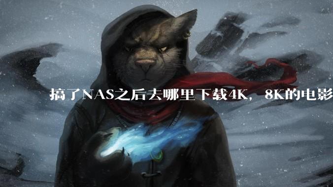 搞了NAS之后去哪里下载4K,8K的电影?