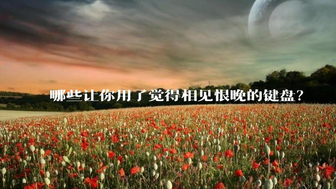 哪些让你用了觉得相见恨晚的键盘?