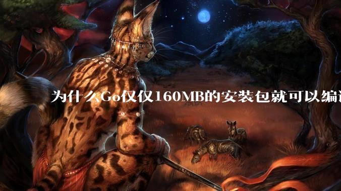 为什么Go仅仅160MB的安装包就可以编译程序,而Rust却还需要几个GB的VC++才能编译?
