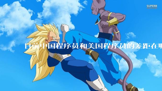 目前中国程序员和美国程序员的差距在哪里?