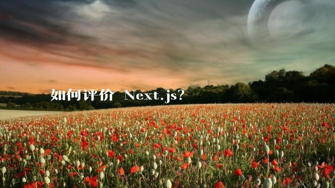 如何评价 Next.js?