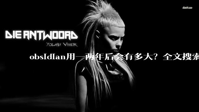 obsidian用一两年后会有多大?全文搜索还快吗?
