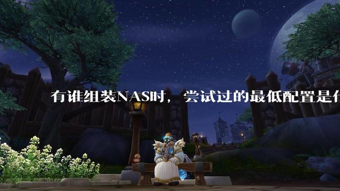 有谁组装NAS时,尝试过的最低配置是什么?