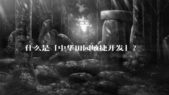 什么是「中华田园敏捷开发」?
