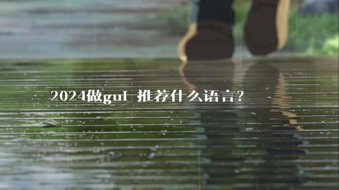 2024做gui 推荐什么语言?