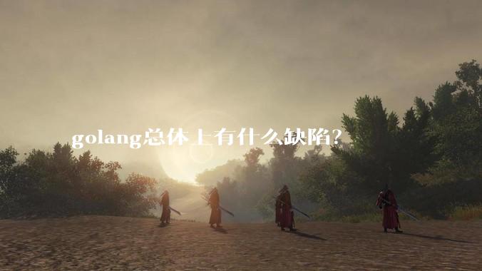 golang总体上有什么缺陷?