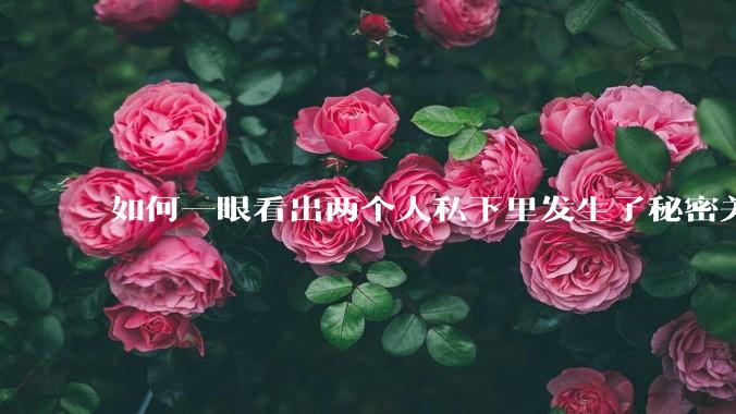 如何一眼看出两个人私下里发生了秘密关系?