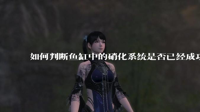 如何判断鱼缸中的硝化系统是否已经成功建立?