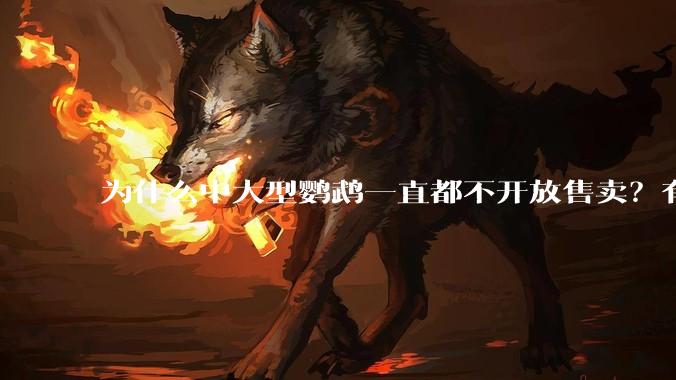 为什么中大型鹦鹉一直都不开放售卖?有哪些原因呢?