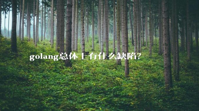 golang总体上有什么缺陷?