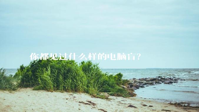 你都见过什么样的电脑盲?