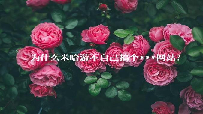 为什么米哈游不自己搞个***网站?