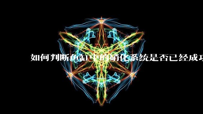 如何判断鱼缸中的硝化系统是否已经成功建立?