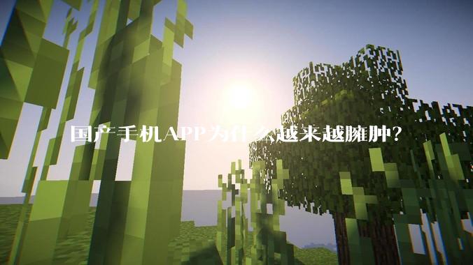 国产手机APP为什么越来越臃肿?