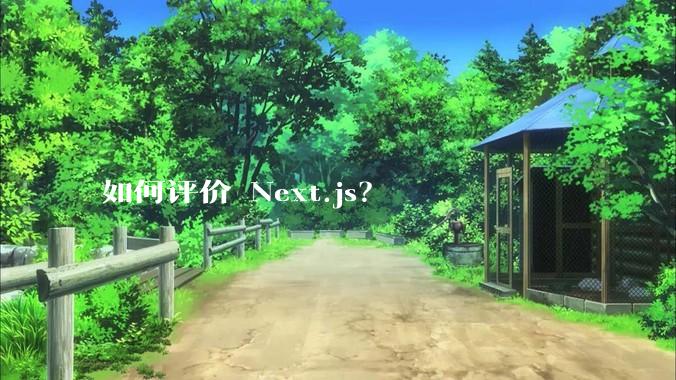 如何评价 Next.js?