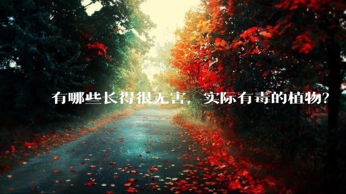有哪些长得很无害,实际有毒的植物?