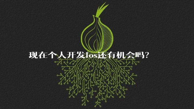 现在个人开发ios还有机会吗?