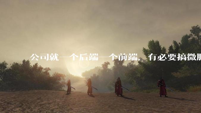公司就一个后端一个前端,有必要搞微服务吗?