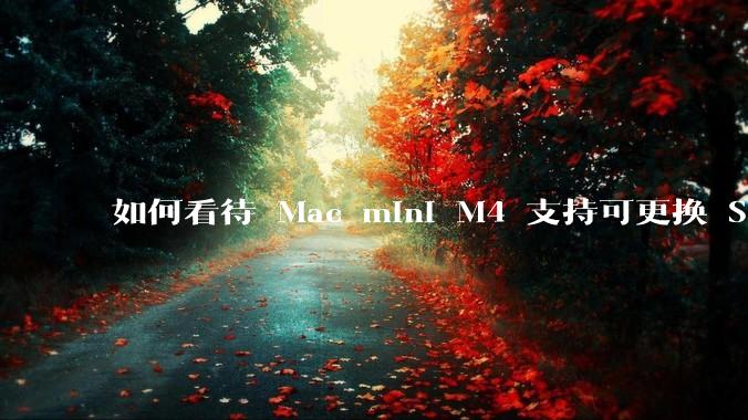 如何看待 Mac mini M4 支持可更换 SSD?