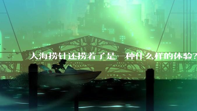 大海捞针还捞着了是一种什么样的体验?