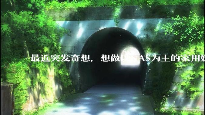 最近突发奇想,想做以NAS为主的家用媒体中心。下面是我做的一个草图,各位大神看看可行吗?