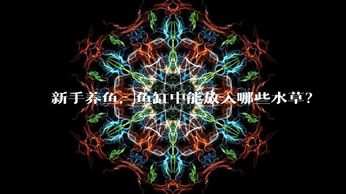 新手养鱼,鱼缸中能放入哪些水草?