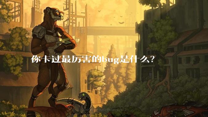 你卡过最厉害的bug是什么?