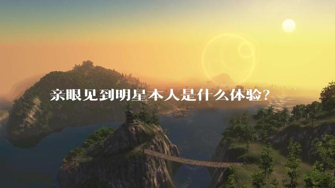 亲眼见到明星本人是什么体验?