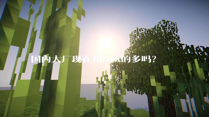 国内大厂现在用rust的多吗?