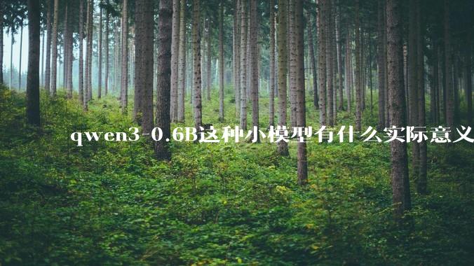 qwen3-0.6B这种小模型有什么实际意义和用途吗?
