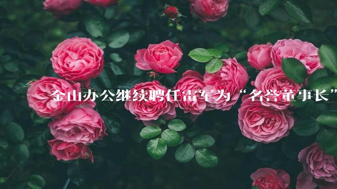 金山办公继续聘任雷军为“名誉董事长”,但不享权利、不担义务、不领薪酬,这个头衔的实际意义是什么?