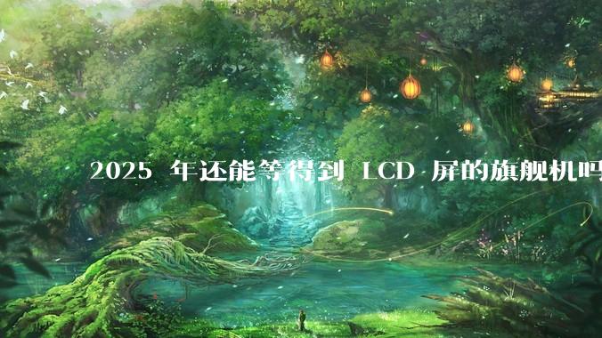 2025 年还能等得到 LCD 屏的旗舰机吗?