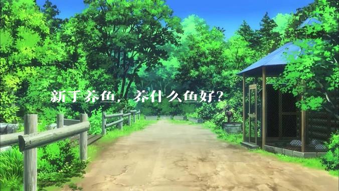 新手养鱼,养什么鱼好?